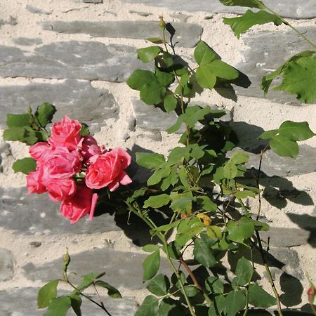 Hebergement Independant Centre Bourg Nozay  Exterior foto